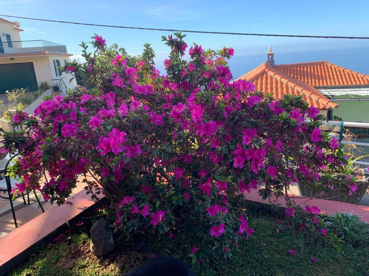 Ponta Do Sol Villa ภายนอก รูปภาพ